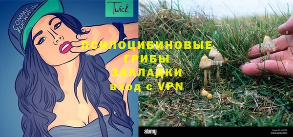 хмурый Елабуга