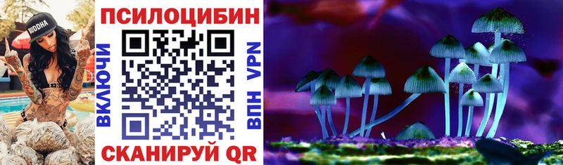 Псилоцибиновые грибы Psilocybine cubensis Чегем