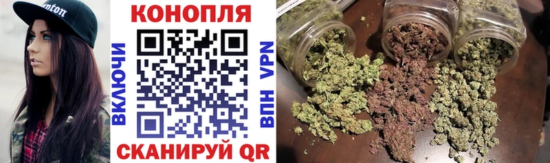где можно купить наркотик  ссылка на мегу онион  МАРИХУАНА LSD WEED  Чегем 